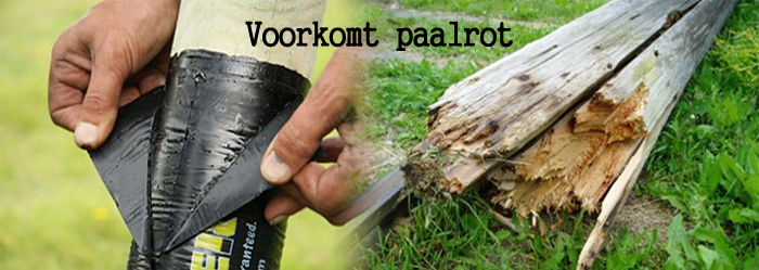 frontpage_paalrot